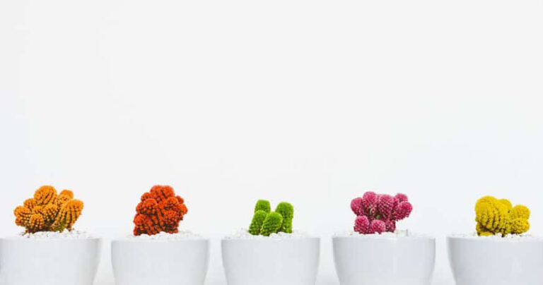 Los cinco lenguajes para expresar el amor de Gary Chapman