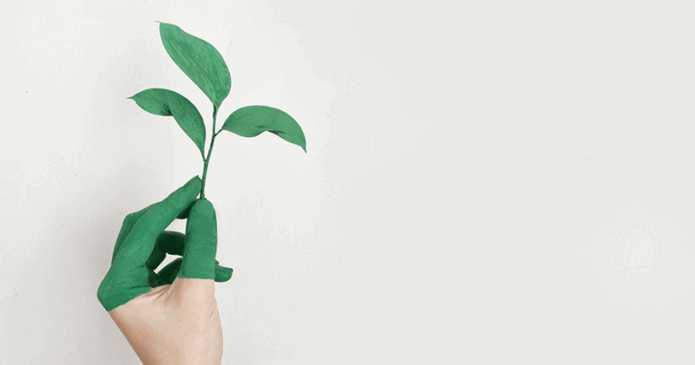 Diferencia entre desarrollo y crecimiento personal